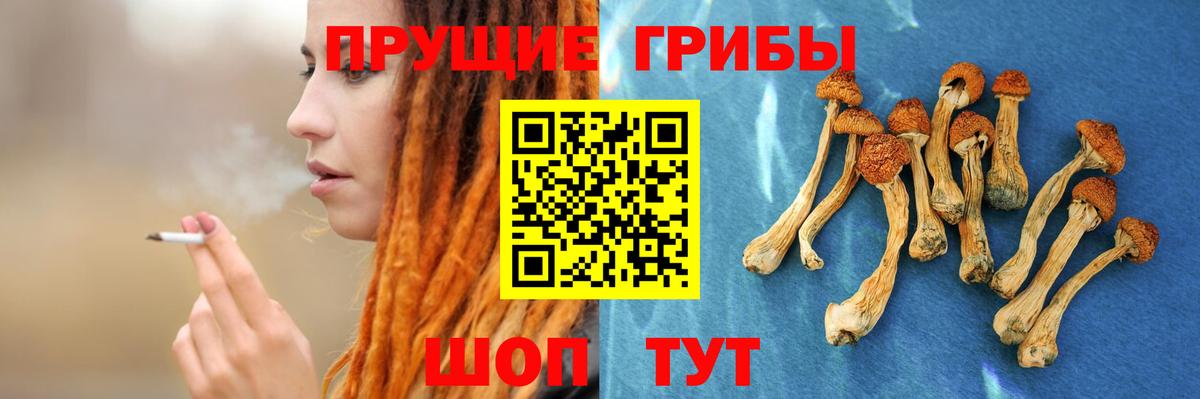 Галлюциногенные грибы MAGIC MUSHROOMS  Вход с VPN  Минусинск 